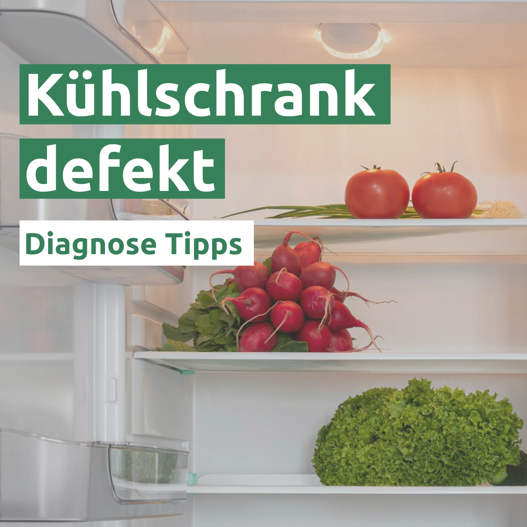 Ratgeber zum Problem: Kühlschrank defekt Ratgeber zum Problem: Kühlschrank defekt