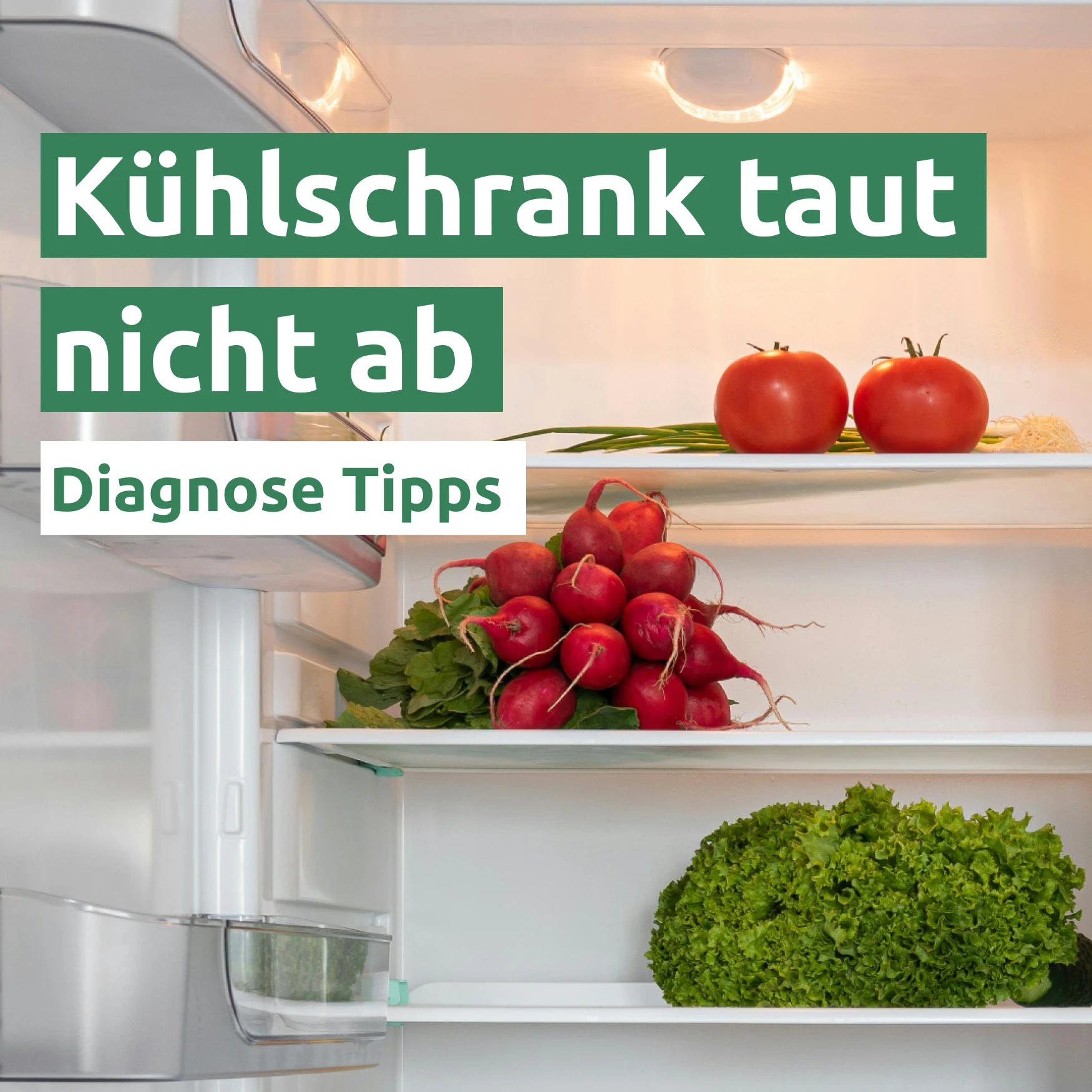 Ratgeber zum Problem: Kühlschrank taut nicht ab Ratgeber zum Problem: Kühlschrank taut nicht ab