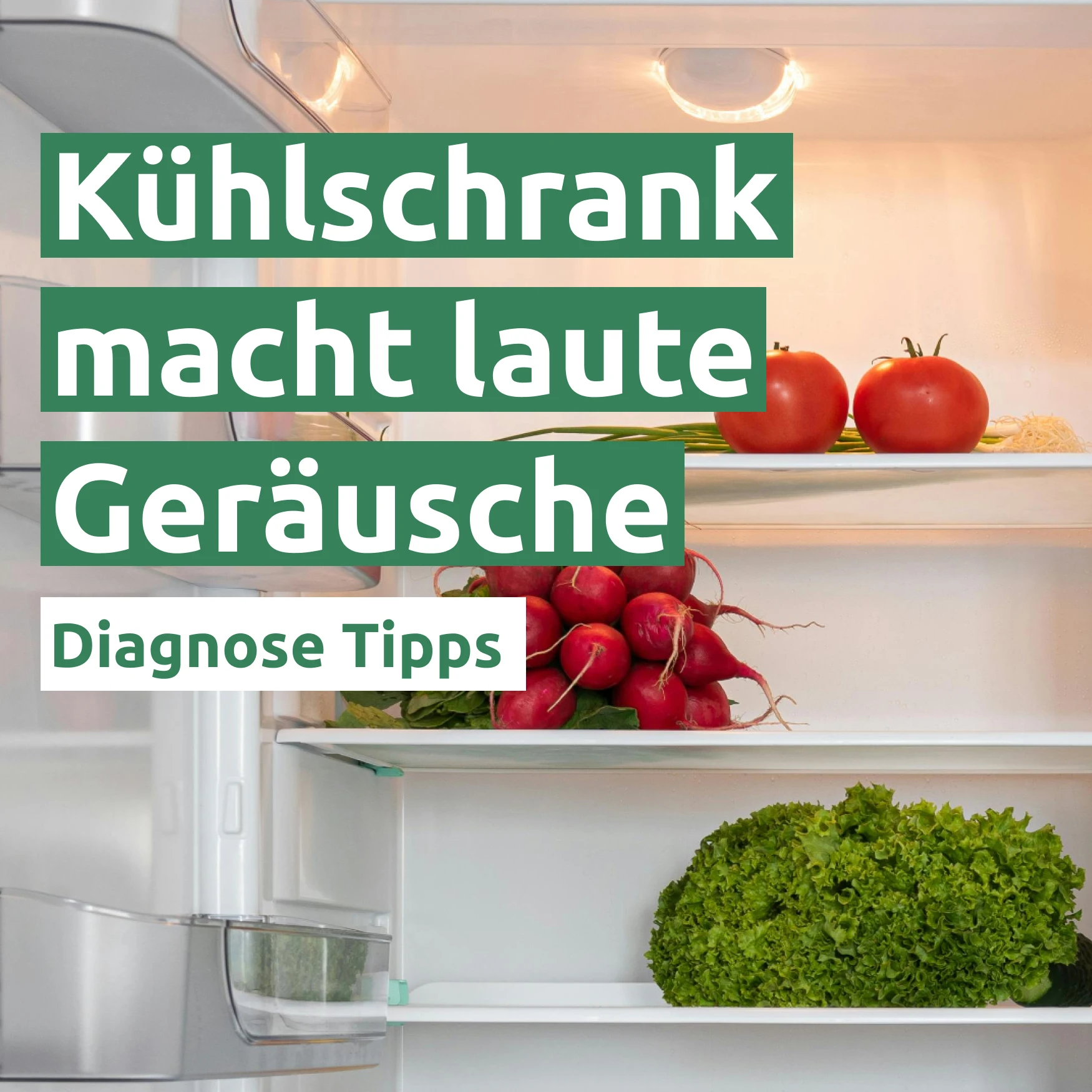 Ratgeber zum Problem: Kühlschrank macht laute Geräusche