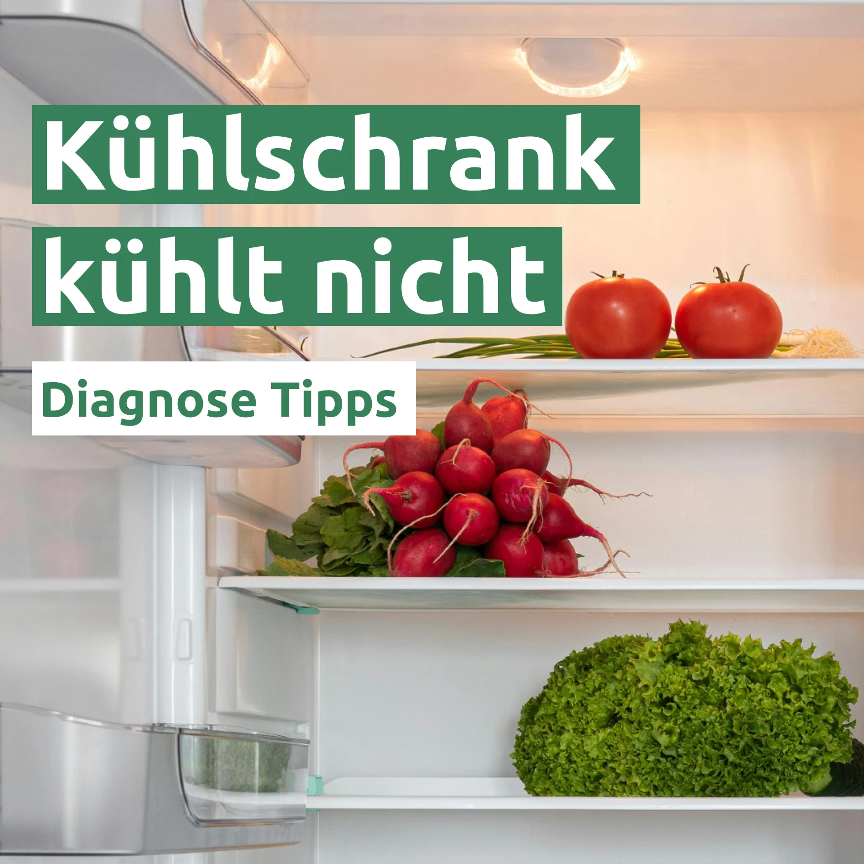 Ratgeber zum Problem: Kühlschrank kühlt nicht 