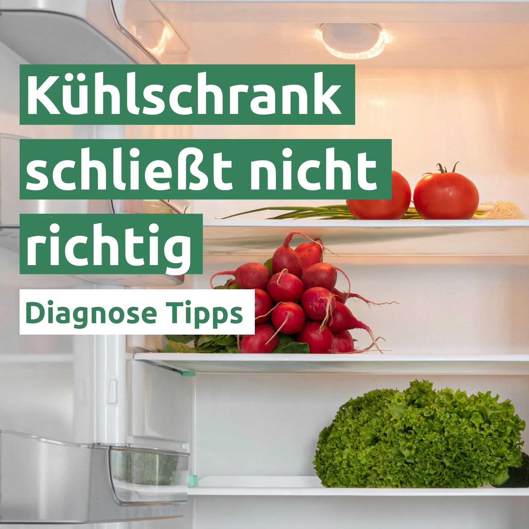 Ratgeber zum Problem: Kühlschranktür schließt nicht richtig Ratgeber zum Problem: Kühlschranktür schließt nicht richtig