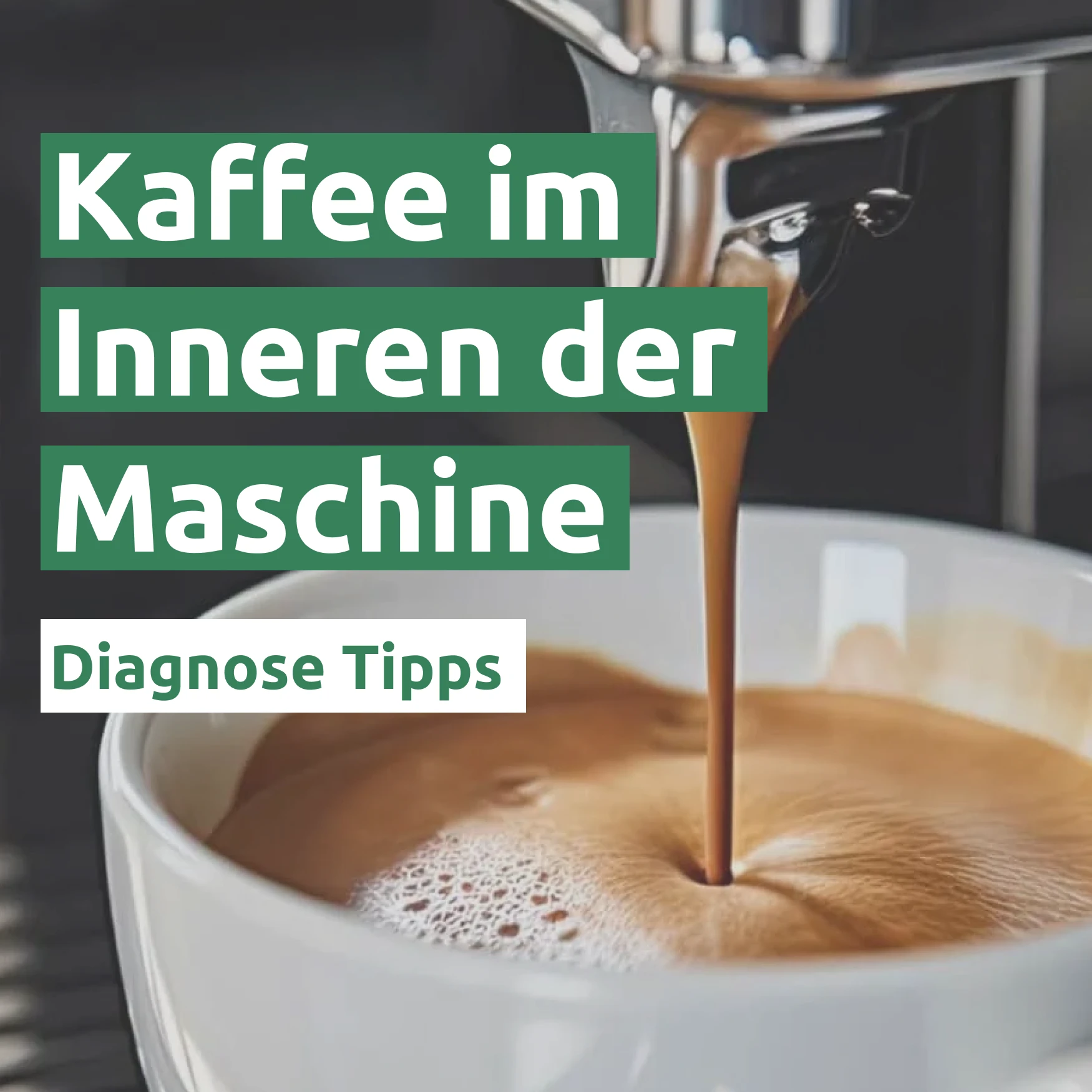 Ratgeber zum Problem: Kaffee im Inneren der Maschine