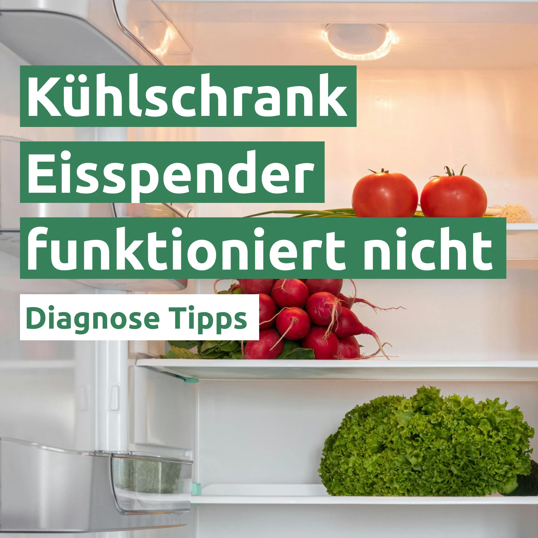 Ratgeber zum Problem: Kühlschrank Eisspender funktioniert nicht Ratgeber zum Problem: Kühlschrank Eisspender funktioniert nicht