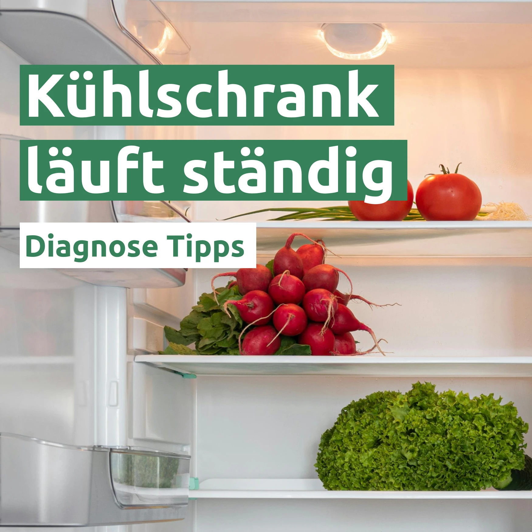 Ratgeber zum Problem: Kühlschrank läuft ständig Ratgeber zum Problem: Kühlschrank läuft ständig