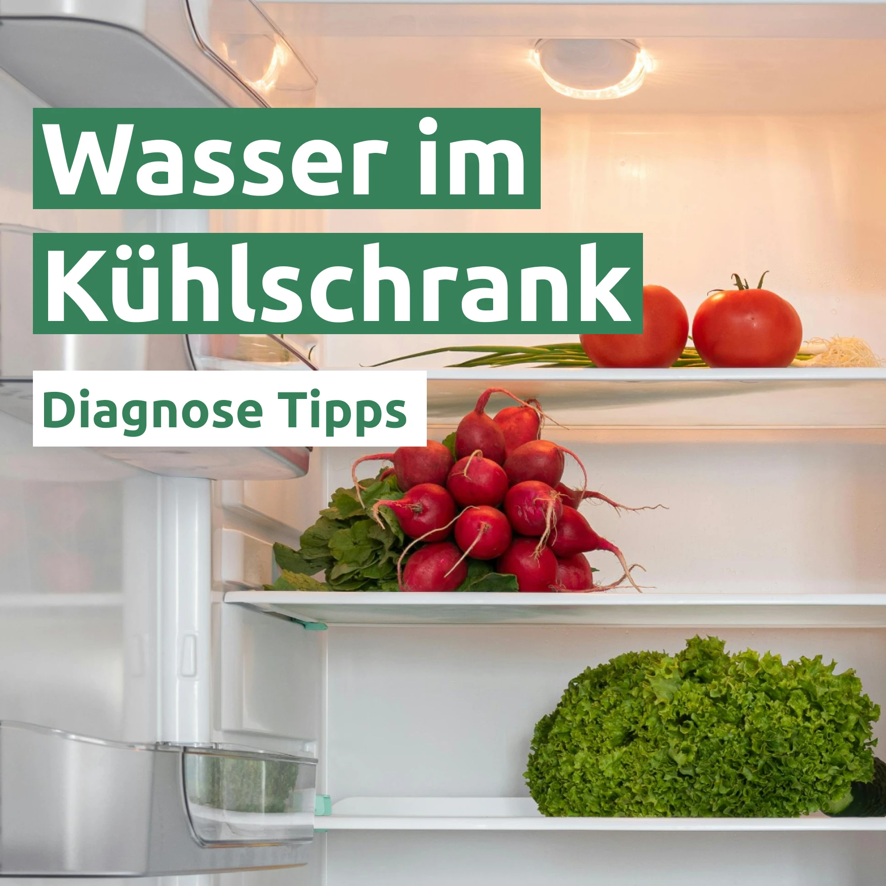 Ratgeber zum Problem: Wasser im Kühlschrank Ratgeber zum Problem: Wasser im Kühlschrank