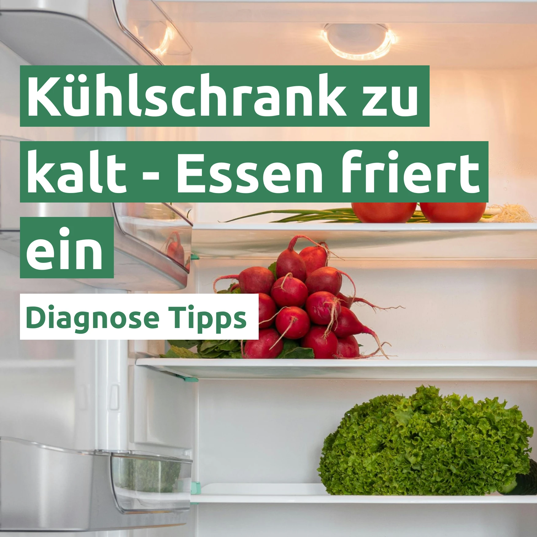  Kühlschrank zu kalt - Essen friert ein