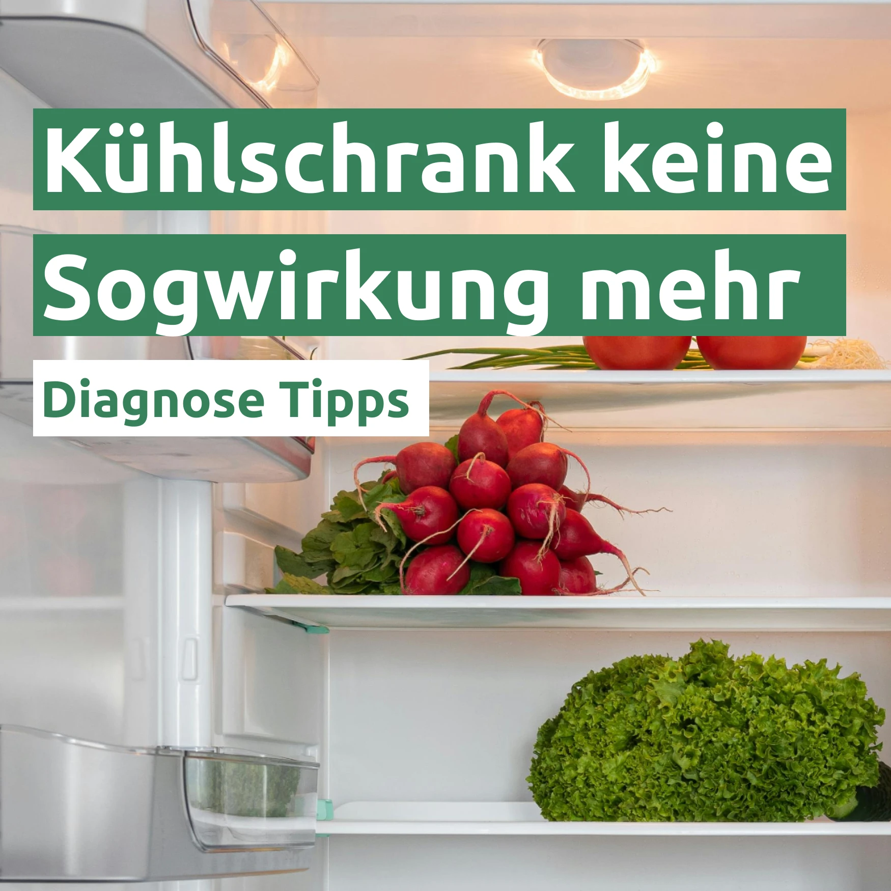 Ratgeber zum Problem: Kühlschrank keine Sogwirkung mehr
