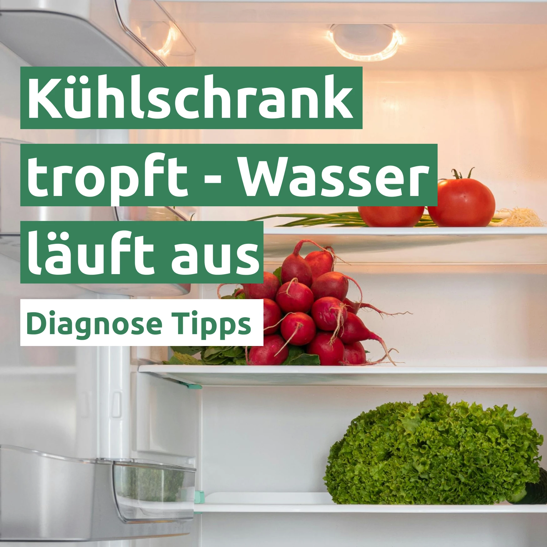 Ratgeber zum Problem: Kühlschrank tropft - Wasser läuft aus Ratgeber zum Problem: Kühlschrank tropft - Wasser läuft aus