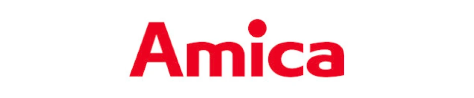Amica