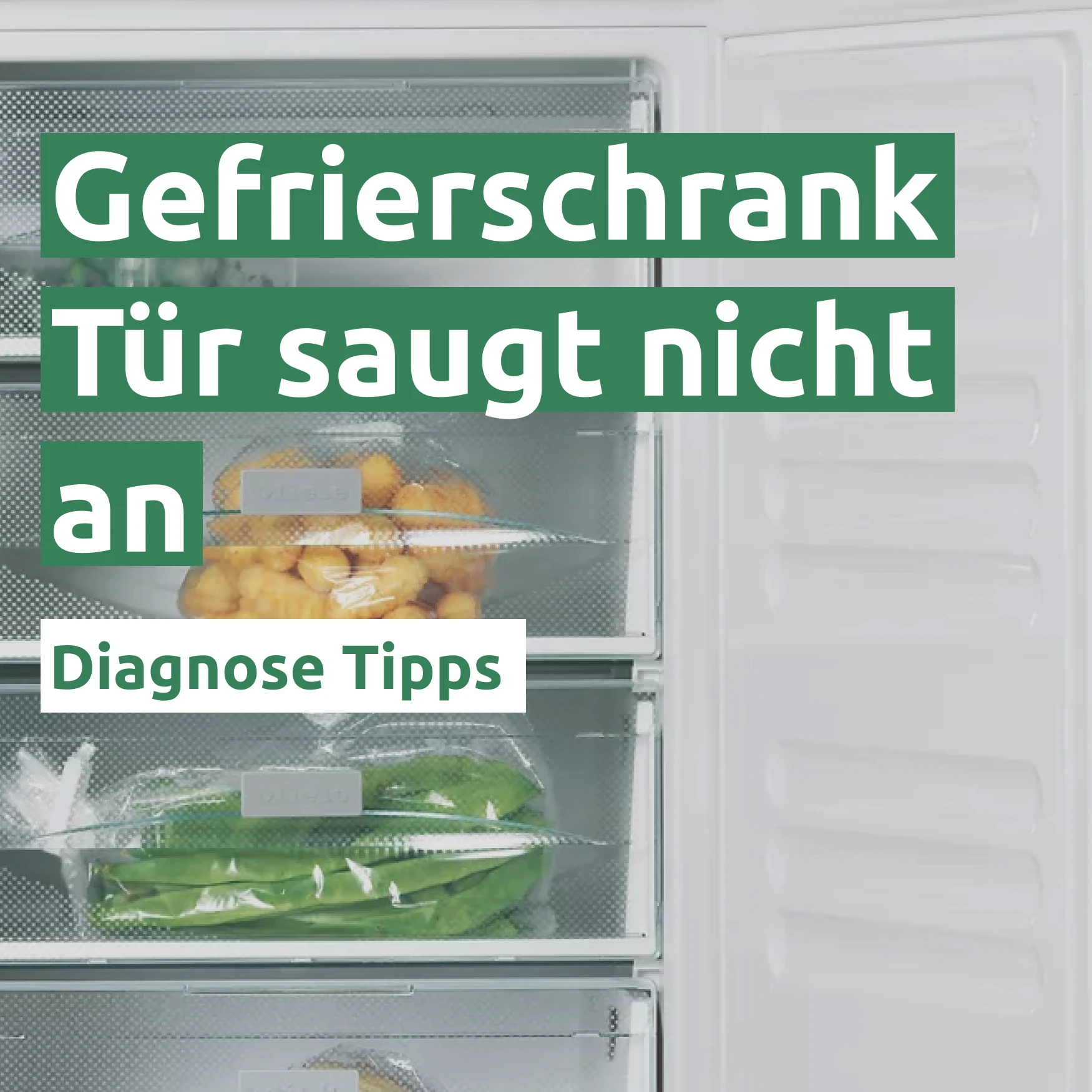 Ratgeber zum Problem: Gefrierschrank Tür saugt nicht an 