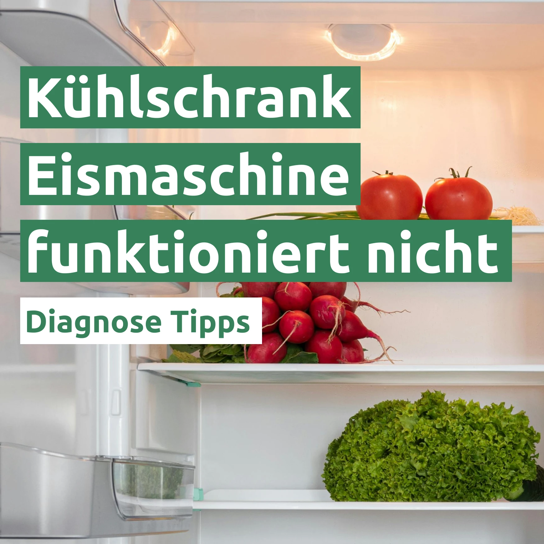 Ratgeber zum Problem: Kühlschrank Eismaschine funktioniert nicht Ratgeber zum Problem: Kühlschrank Eismaschine funktioniert nicht